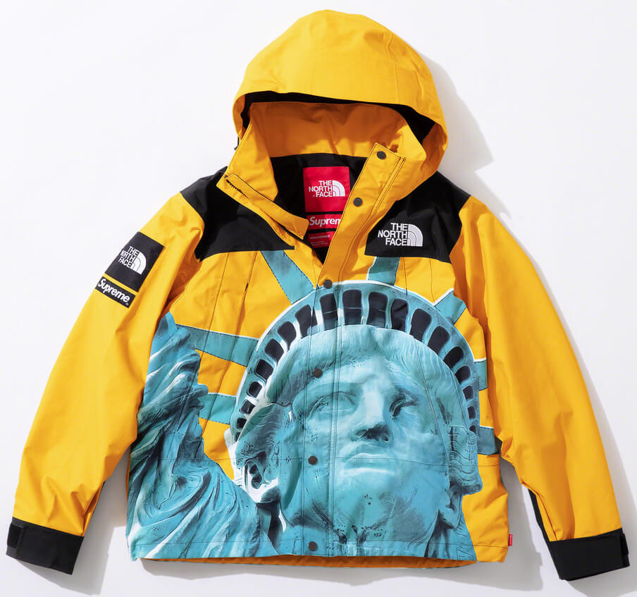 ラッピング対象外 supreme north face 自由の女神 マウンテンパーカー