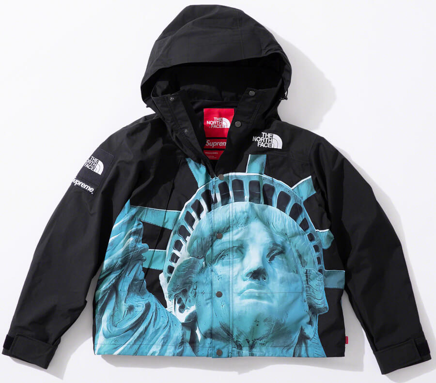 supreme the north face 自由の女神 black L | hartwellspremium.com